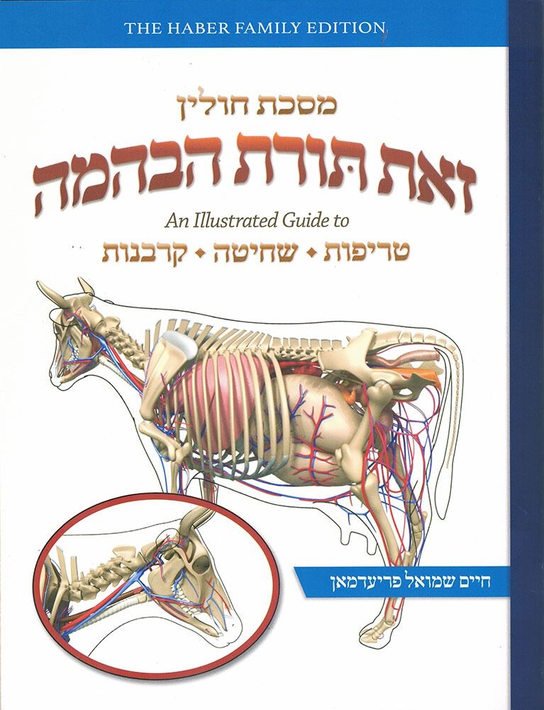 Zos Toras HeBehaima — Maseches Chullin